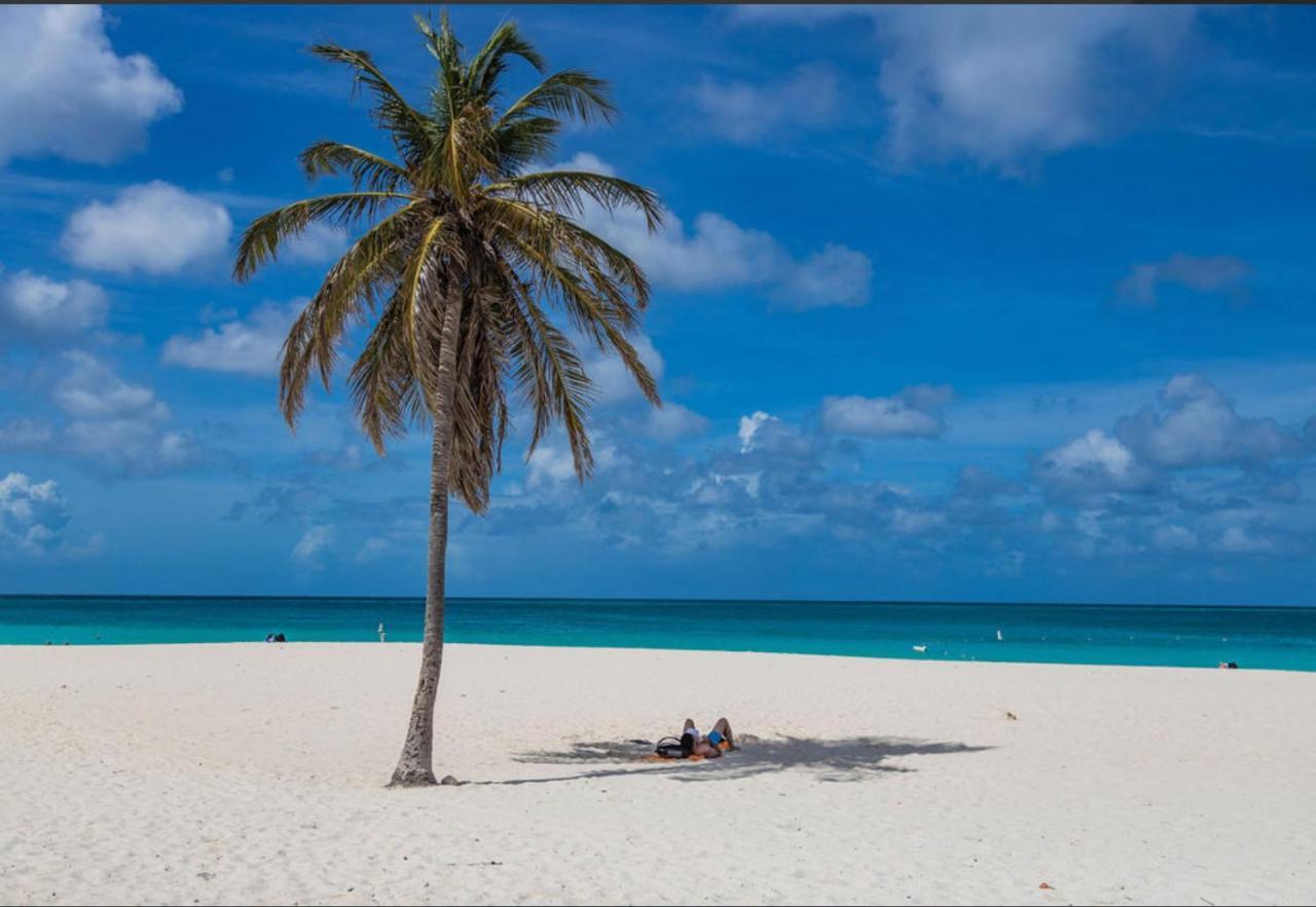 Ocean View Condo Overlooking The Caribbean Sea Oranjestad Bagian luar foto